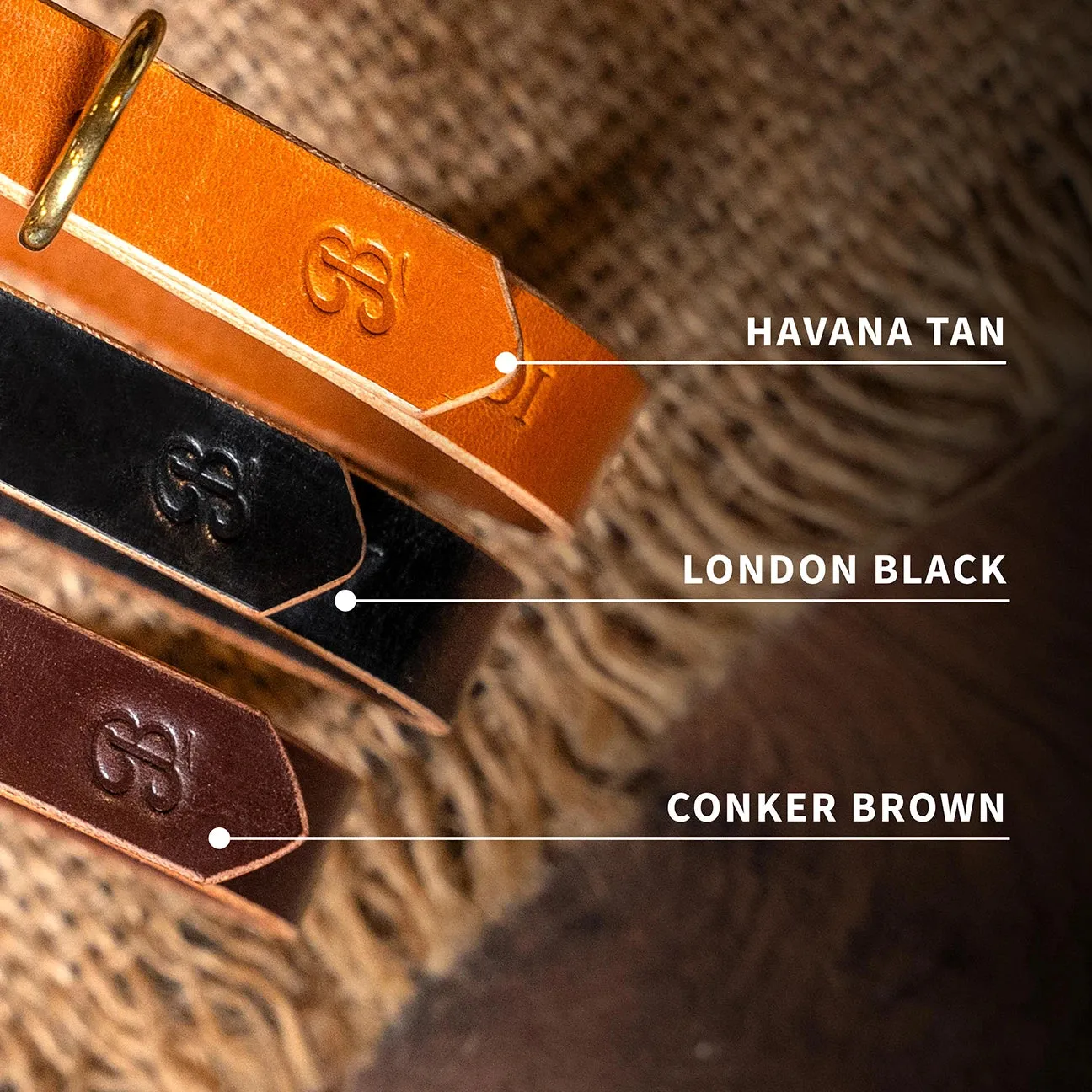 Leather Dog Collar - Havana Tan