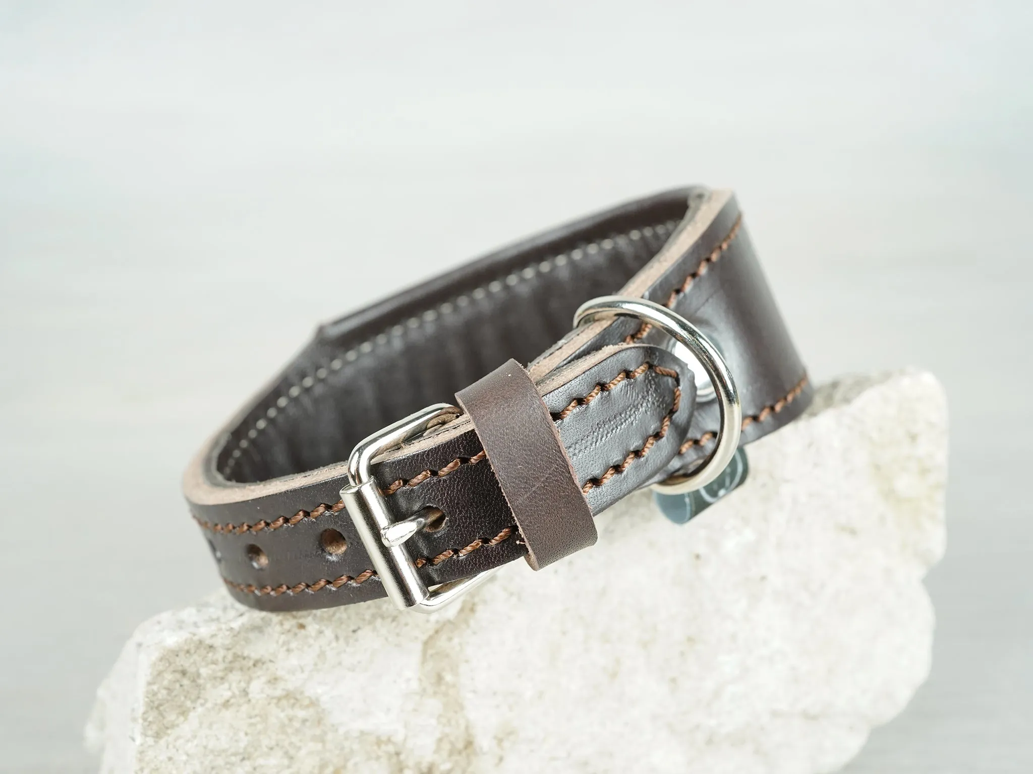 Tapered Padded Leather Dog Collar in 5 Colors