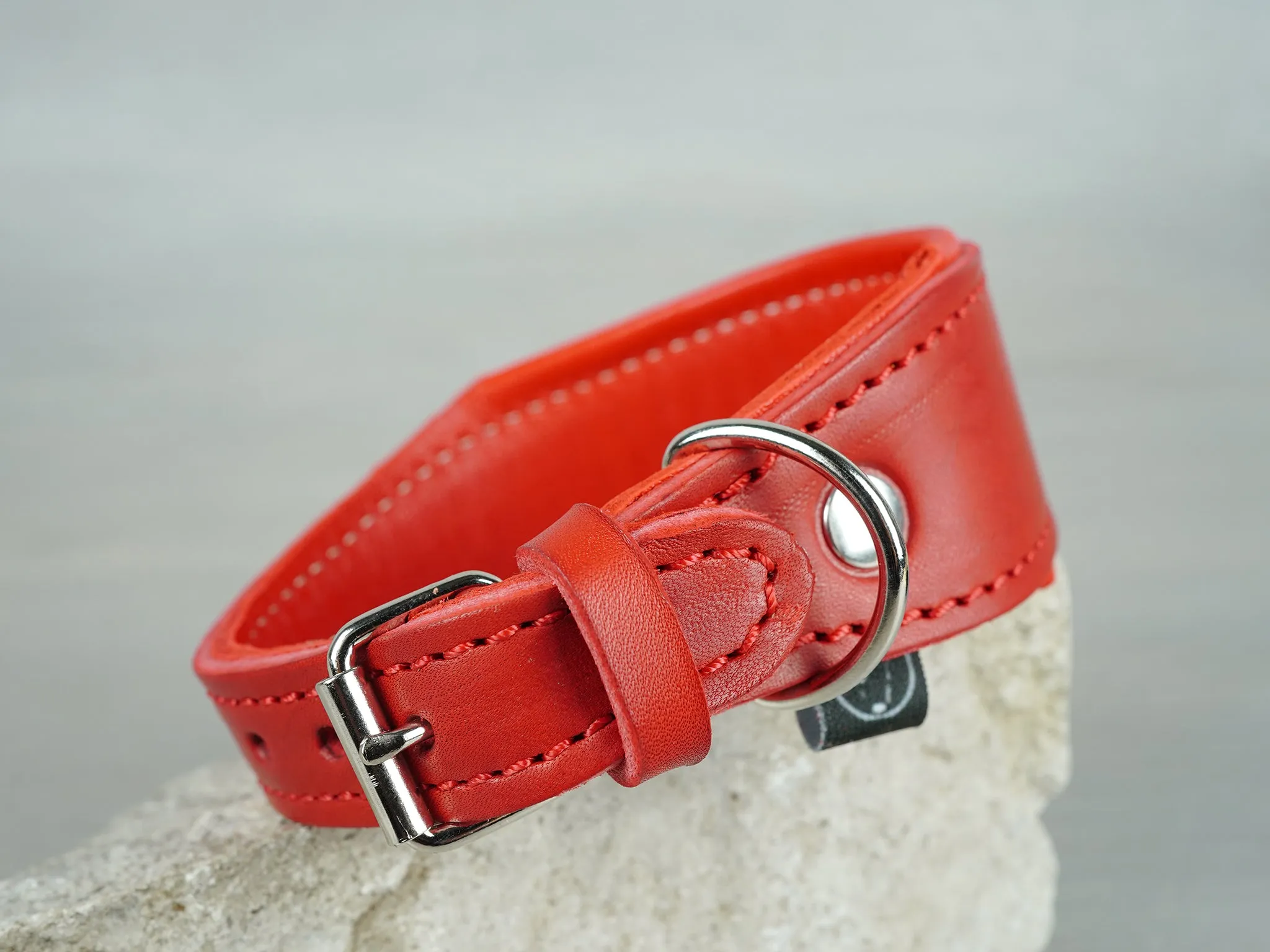 Tapered Padded Leather Dog Collar in 5 Colors