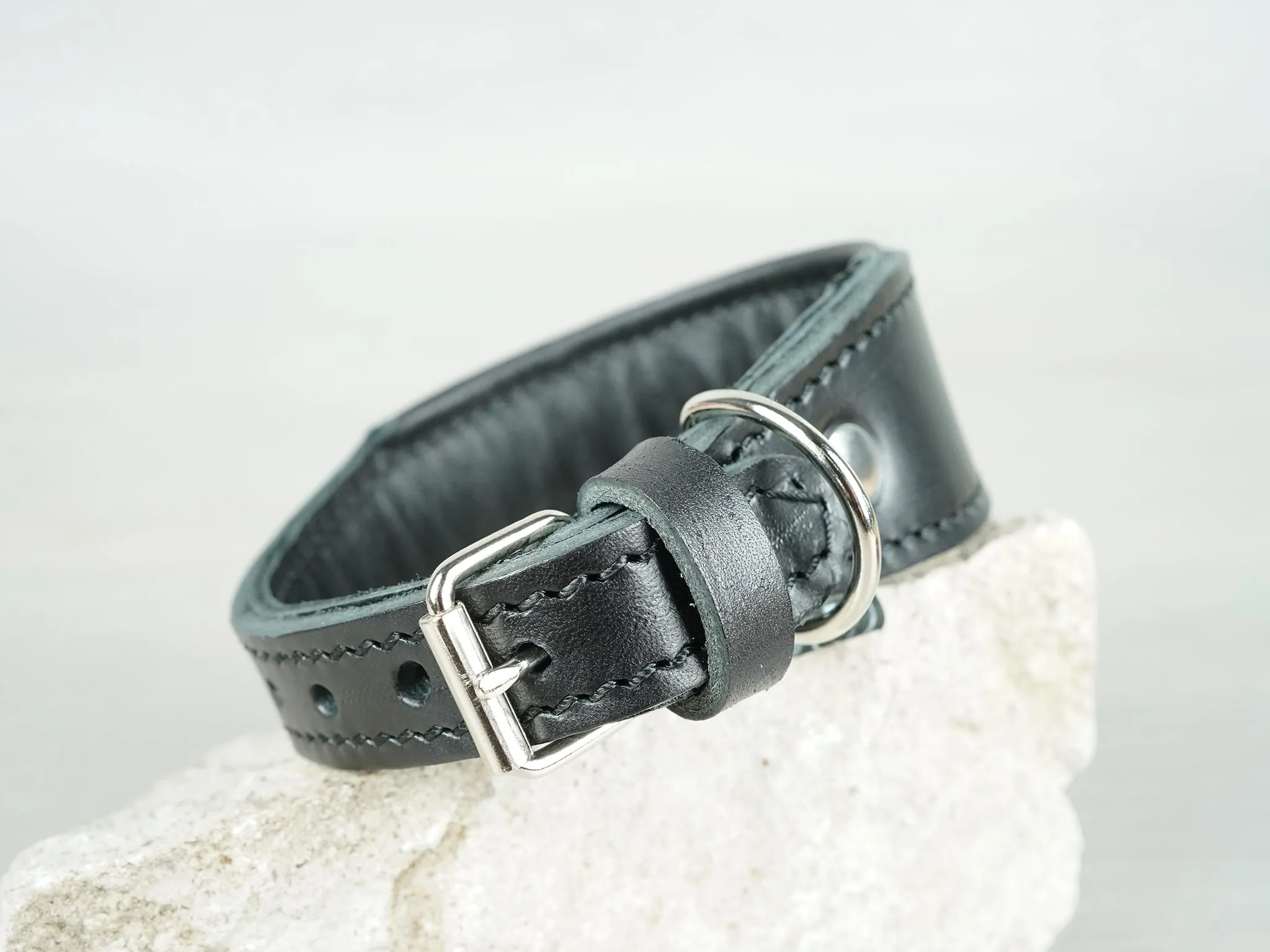 Tapered Padded Leather Dog Collar in 5 Colors