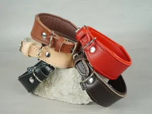Tapered Padded Leather Dog Collar in 5 Colors
