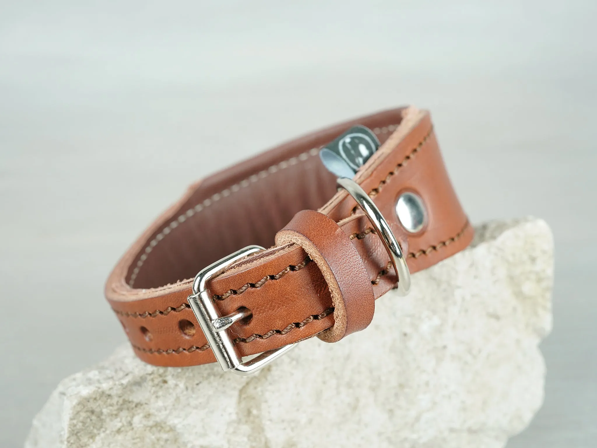 Tapered Padded Leather Dog Collar in 5 Colors